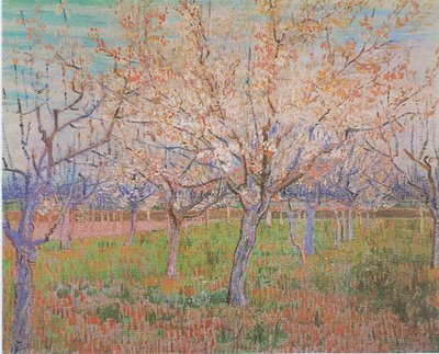 Orchard with Blooming Apricot Trees by Vincent van Gogh